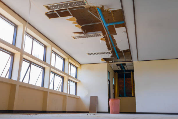 Best Flood restoration services  in Sumrall, MS