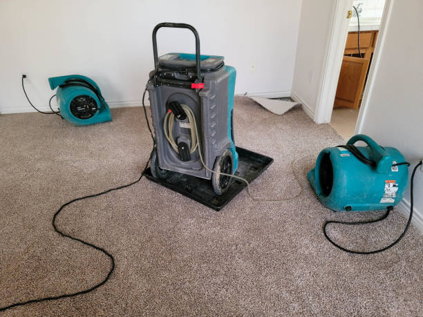 Best Local water damage restoration  in Sumrall, MS