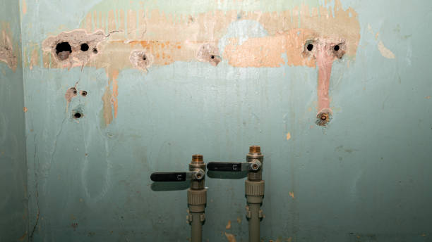 Water damage restoration mold remediation in Sumrall, MS