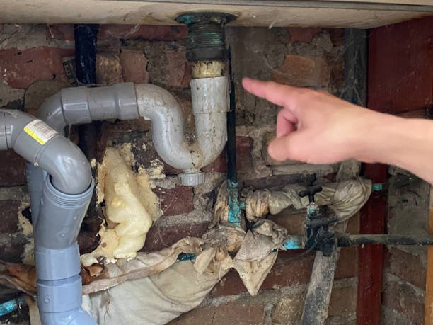 Best Local water damage restoration  in Sumrall, MS